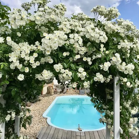 Pensionat Haus Am Pool Knautkleeberg