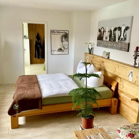 Haus Am Pool Guest house Knautkleeberg