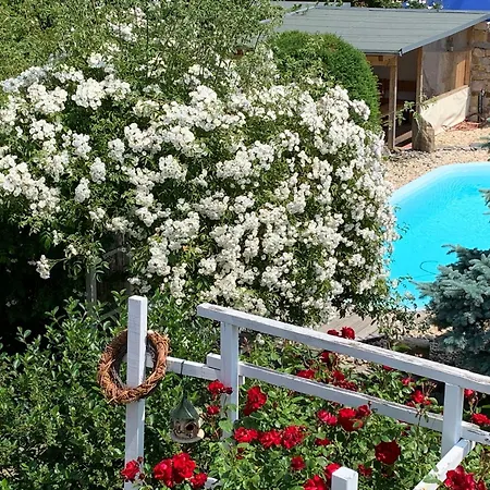 Haus Am Pool Pensionat Knautkleeberg