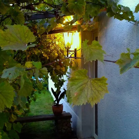 Haus Am Pool Knautkleeberg