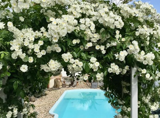 Gasthof Haus Am Pool Knautkleeberg