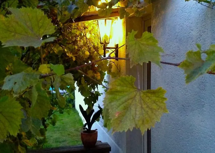 Haus Am Pool Knautkleeberg